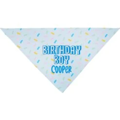 Frisco Birthday Boy Personalized Dog & Cat Bandana -Optimal Pet Shop 238329 PT3. AC SS1800 V1618511828