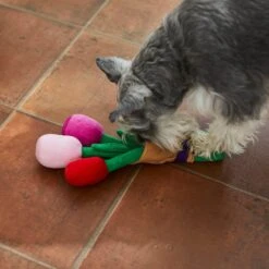 Frisco Valentine Rose Bouquet Plush Squeaky Dog Toy -Optimal Pet Shop 241733 PT6. AC SS1800 V1607990908