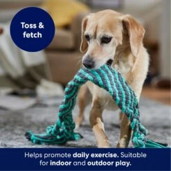 Frisco Flat Teal & Gray Braided Rope Squeaky Fetch Dog Toy -Optimal Pet Shop 242127 PT3. AC SS1800 V1695242179