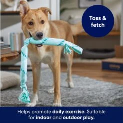Frisco Double Fun Rope Crinkle Fetch Dog Toy -Optimal Pet Shop 242137 PT3. AC SS1800 V1695242178