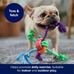 Frisco Fetch Colorful Ball Knot Rope Dog Toy -Optimal Pet Shop 242159 PT3. AC SS1800 V1695242179