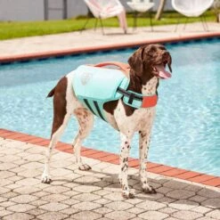 Frisco Active Dog Life Jacket -Optimal Pet Shop 247894 PT7. AC SS1800 V1616506092
