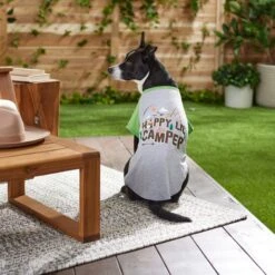 Frisco Happy Lil' Camper Dog & Cat T-Shirt -Optimal Pet Shop 248789 PT7. AC SS1800 V1613670226