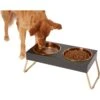 Frisco Copper Stainless Steel Elevated Foldable Double Dog & Cat Bowls -Optimal Pet Shop 253060 MAIN. AC SS1800 V1616073913