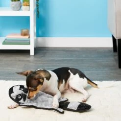 Frisco Alligator Stuffing-Free Flat Plush Squeaky Dog Toy & Frisco Raccoon Stuffing-Free Flat Plush Squeaky Dog Toy 11 Frisco Alligator Stuffing-Free Flat Plush Squeaky Dog Toy & Frisco Raccoon Stuffing-Free Flat Plush Squeaky Dog Toy -Optimal Pet Shop 255471 PT4. AC SS1800 V1602691287