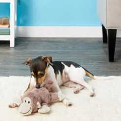 Frisco Monkey Plush Squeaky Dog Toy & Frisco Fox Plush Squeaky Dog Toy 9 Frisco Monkey Plush Squeaky Dog Toy & Frisco Fox Plush Squeaky Dog Toy -Optimal Pet Shop 255597 PT2. AC SS1800 V1602702685