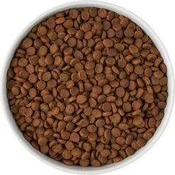 Frisco Paw Prints Non-skid Ceramic Bowl -Optimal Pet Shop 256072 PT5. AC SS1800 V1615312318