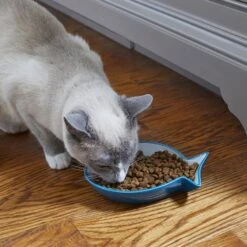 Frisco Fish Shaped Non-skid Ceramic Cat Dish 12 Frisco Fish Shaped Non-skid Ceramic Cat Dish -Optimal Pet Shop 256109 PT3. AC SS1800 V1617196297