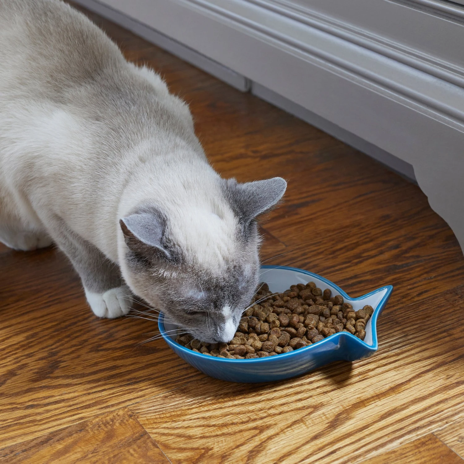 Frisco Fish Shaped Non-skid Ceramic Cat Dish 6 Frisco Fish Shaped Non-skid Ceramic Cat Dish - Image 4