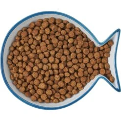 Frisco Fish Shaped Non-skid Ceramic Cat Dish 15 Frisco Fish Shaped Non-skid Ceramic Cat Dish -Optimal Pet Shop 256109 PT6. AC SS1800 V1617196895