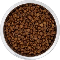 Frisco Black Iron Non-Skid Stainless Steel Dog & Cat Bowl -Optimal Pet Shop 257152 PT4. AC SS1800 V1615311427