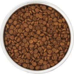 Frisco Insulated Two-Toned Non-Skid Stainless Steel Dog & Cat Bowl -Optimal Pet Shop 257168 PT4. AC SS1800 V1612367255