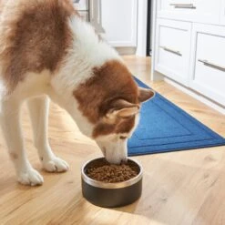 Frisco Insulated Two-Toned Non-Skid Stainless Steel Dog & Cat Bowl -Optimal Pet Shop 257168 PT8. AC SS1800 V1615840126