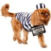 Frisco Prisoner Dog & Cat Costume -Optimal Pet Shop 260933 MAIN. AC SS1800 V1624400089
