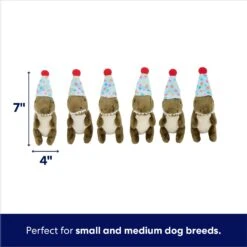 Frisco Birthday Volcano & Dinosaurs Hide & Seek Puzzle Plush Squeaky Dog Toy -Optimal Pet Shop 264424 PT2. AC SS1800 V1695761147