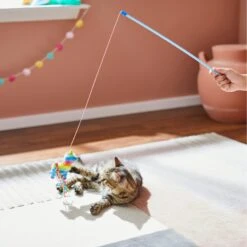 Frisco Pinata Teaser Wand Cat Toy With Catnip -Optimal Pet Shop 264446 PT3. AC SS1800 V1618948636