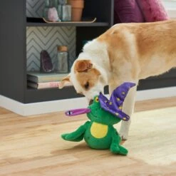 Frisco Magic Wizard Frog Plush Squeaky Dog Toy -Optimal Pet Shop 265588 PT3. AC SS1800 V1620939075
