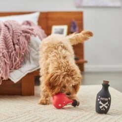 Frisco Magic Potions Latex Squeaky Dog Toy, 2 Count -Optimal Pet Shop 265632 PT3. AC SS1800 V1620939021