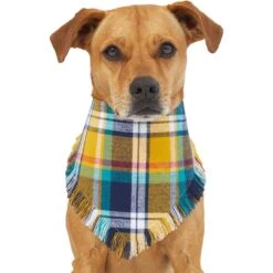 Frisco Blue/Yellow Plaid Dog & Cat Flannel Bandana -Optimal Pet Shop 267901 PT2. AC SS1800 V1637717796