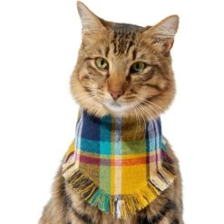 Frisco Blue/Yellow Plaid Dog & Cat Flannel Bandana -Optimal Pet Shop 267901 PT3. AC SS1800 V1637677287