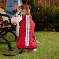 Frisco Mediumweight Reflective 2-in-1 Dog & Cat Fleece Coat -Optimal Pet Shop 268359 PT8. AC SS1800 V1629759326