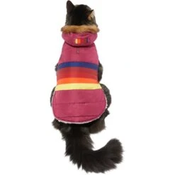 Frisco Mediumweight Colorblock Adventure Insulated Dog & Cat Parka -Optimal Pet Shop 268421 PT2. AC SS1800 V1628779779