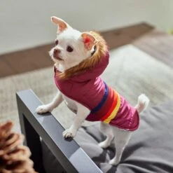 Frisco Mediumweight Colorblock Adventure Insulated Dog & Cat Parka -Optimal Pet Shop 268421 PT8. AC SS1800 V1629835230