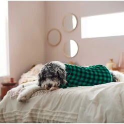 Frisco Dog & Cat Cozy Plush Fleece PJs, Green Plaid -Optimal Pet Shop 268517 PT5. AC SS1800 V1637644798