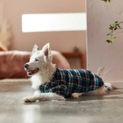 Frisco Multi-Plaid Dog & Cat Flannel Shirt -Optimal Pet Shop 268588 PT7. AC SS1800 V1637674022