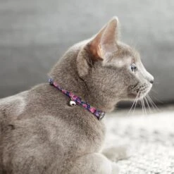 Frisco Midnight Floral Cat Collar -Optimal Pet Shop 269490 PT4. AC SS1800 V1617037508