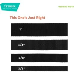 Frisco Midnight Floral Cat Collar -Optimal Pet Shop 269490 PT6. AC SS1800 V1629992485