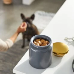 Frisco Modern Gold Rim Ceramic Treat Jar -Optimal Pet Shop 270190 PT2. AC SS1800 V1620762371