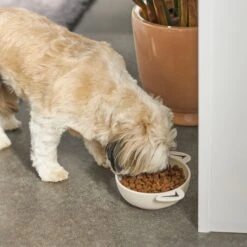 Frisco Dog Face Non-skid Ceramic Cat & Dog Bowl 10 Frisco Dog Face Non-skid Ceramic Cat & Dog Bowl -Optimal Pet Shop 270226 PT2. AC SS1800 V1620762156