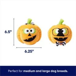 Frisco Halloween Nerdy Jack-o-Lanterns Plush Squeaky Dog Toy -Optimal Pet Shop 270431 PT1. AC SS1800 V1689873074