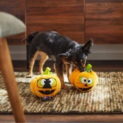 Frisco Halloween Nerdy Jack-o-Lanterns Plush Squeaky Dog Toy -Optimal Pet Shop 270431 PT3. AC SS1800 V1624817796