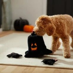 Frisco Halloween Haunted Tree Hide & Seek Puzzle Plush Squeaky Dog Toy 11 Frisco Halloween Haunted Tree Hide & Seek Puzzle Plush Squeaky Dog Toy -Optimal Pet Shop 270488 PT3. AC SS1800 V1624817078