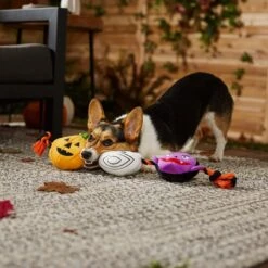 Frisco Halloween Haunted Friends Plush With Rope Squeaky Dog Toy -Optimal Pet Shop 270500 PT3. AC SS1800 V1624825043