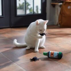 Frisco Camping Bug Spray Plush Cat Toy With Catnip, 3 Count -Optimal Pet Shop 270969 PT3. AC SS1800 V1625009346