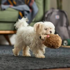 Frisco Camping Hedgehog Plush Squeaky Dog Toy -Optimal Pet Shop 270995 PT3. AC SS1800 V1625009251