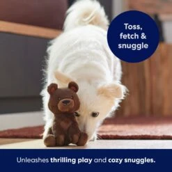 Frisco Camping Bear Plush Squeaky Dog Toy -Optimal Pet Shop 270999 PT5. AC SS1800 V1691785245