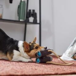 Frisco Camping Binoculars Plush With Rope Squeaky Dog Toy -Optimal Pet Shop 271009 PT3. AC SS1800 V1625009167