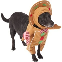 Frisco Front Walking Gingerbread Dog & Cat Costume -Optimal Pet Shop 276156 PT3. AC SS1800 V1631660334