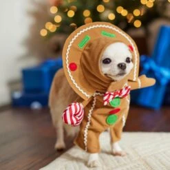 Frisco Front Walking Gingerbread Dog & Cat Costume -Optimal Pet Shop 276156 PT8. AC SS1800 V1631568795