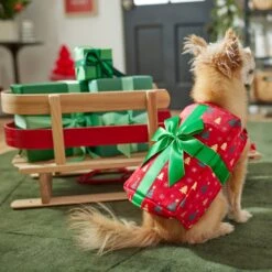 Frisco Holiday Giftbox Dog & Cat Costume 11 Frisco Holiday Giftbox Dog & Cat Costume -Optimal Pet Shop 276175 PT8. AC SS1800 V1631574832