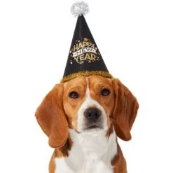 Frisco Happy New Year Dog & Cat Hat -Optimal Pet Shop 276190 PT2. AC SS1800 V1631303599