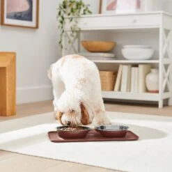 Frisco Silicone Stainless Steel Double Diner Dog & Cat Bowl, Brown -Optimal Pet Shop 277551 PT2. AC SS1800 V1630346531