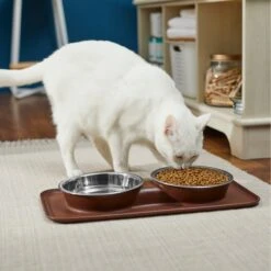 Frisco Silicone Stainless Steel Double Diner Dog & Cat Bowl, Brown -Optimal Pet Shop 277551 PT3. AC SS1800 V1630348104