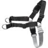 Frisco Basic No Pull Harness -Optimal Pet Shop 277873 MAIN. AC SS1800 V1629758946