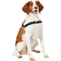 Frisco Basic No Pull Harness -Optimal Pet Shop 277873 PT3. AC SS1800 V1629766656