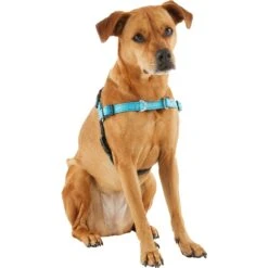 Frisco Padded Reflective No Pull Harness -Optimal Pet Shop 277892 PT3. AC SS1800 V1629758833